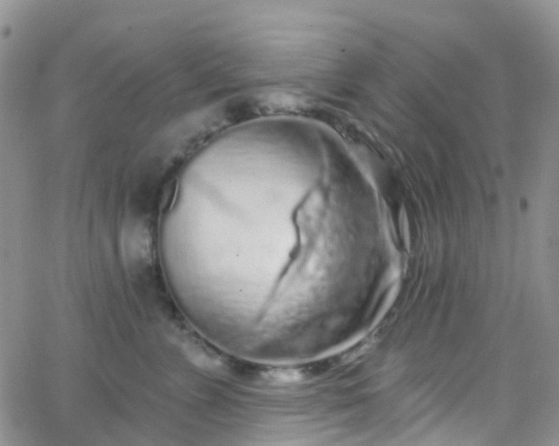 X0000066090715200603171055