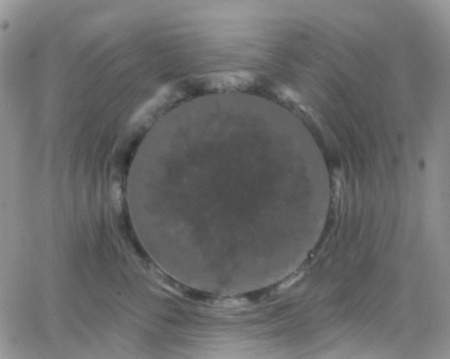 X0000066090716200603171055