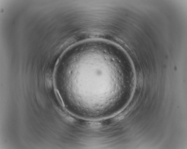 X0000066090719200603171055