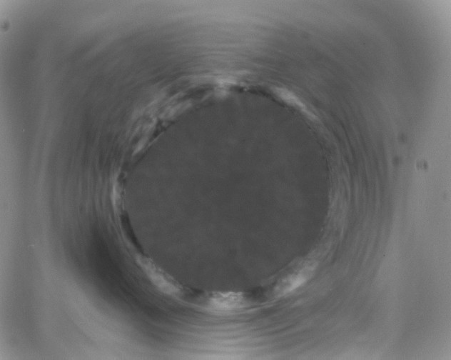 X0000066090720200603171055