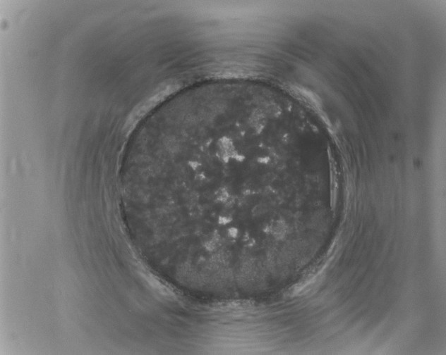 X0000066090721200603171054