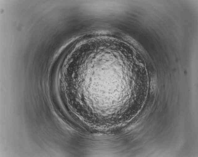 X0000066090722200603171054