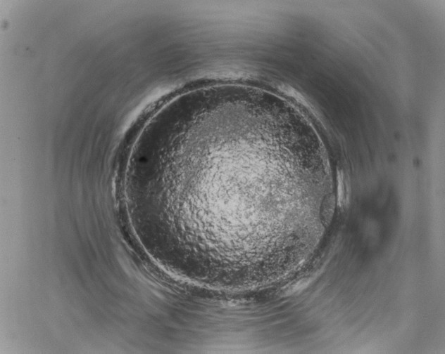 X0000066090723200603171054