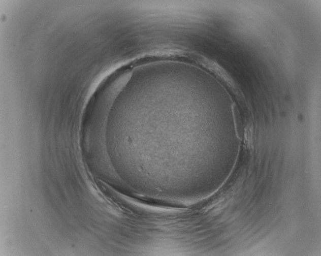 X0000066090724200603171054