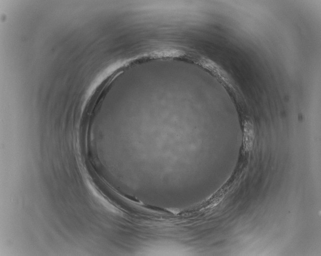 X0000066090726200603171055