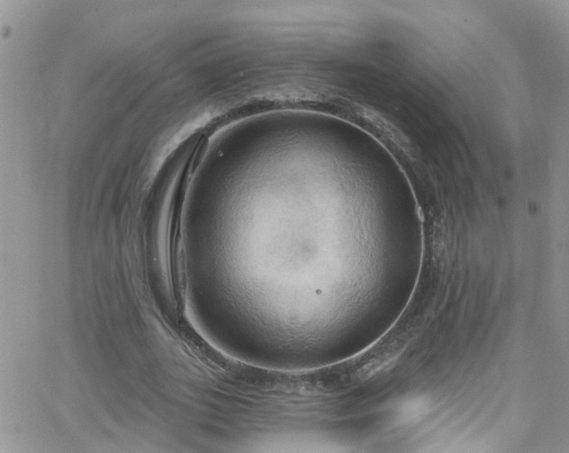 X0000066090727200603171055