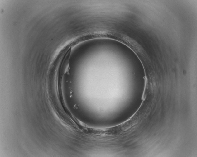 X0000066090728200603171055