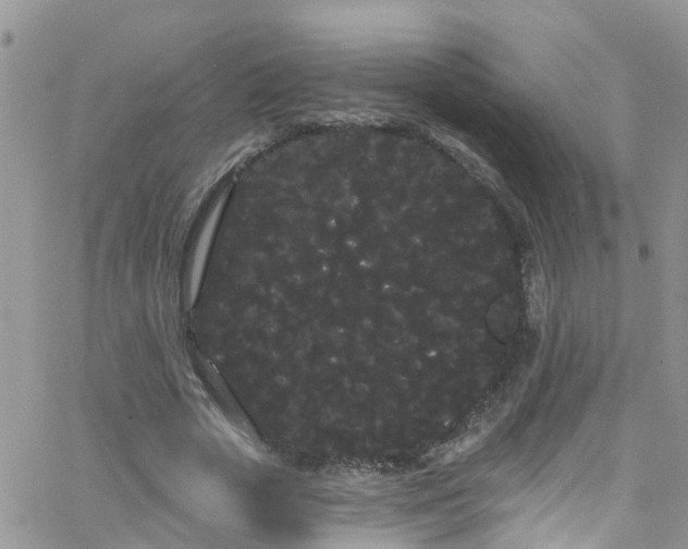 X0000066090729200603171055