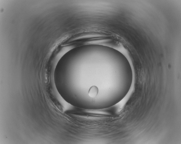 X0000066090731200603171055