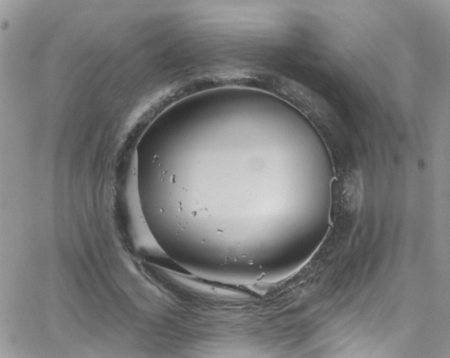 X0000066090732200603171055