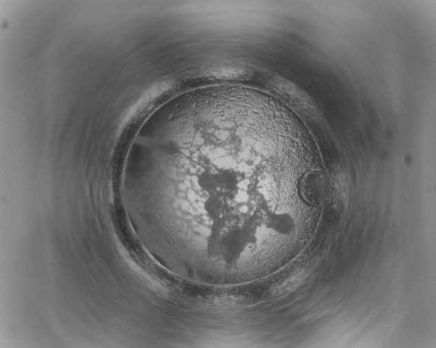 X0000066090734200603171055