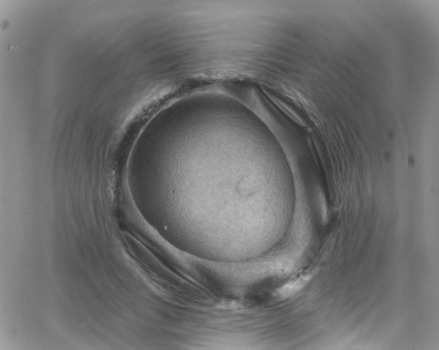 X0000066090735200603171055