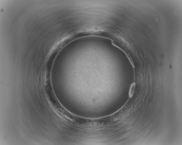 X0000066090736200603171055