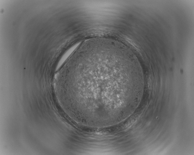 X0000066090737200603171055