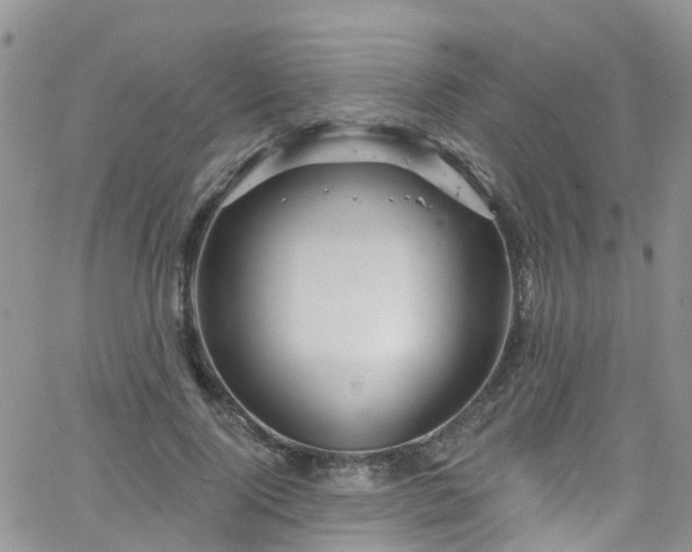 X0000066090740200603171055