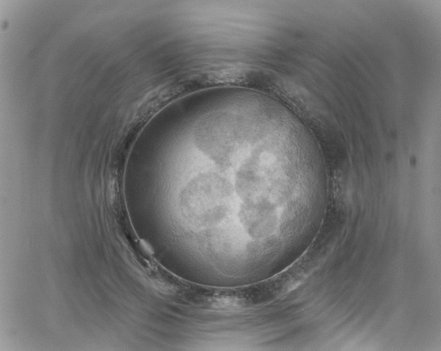 X0000066090741200603171055