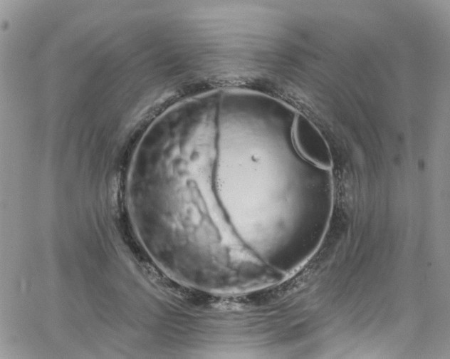 X0000066090742200603171055