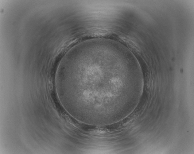 X0000066090743200603171055