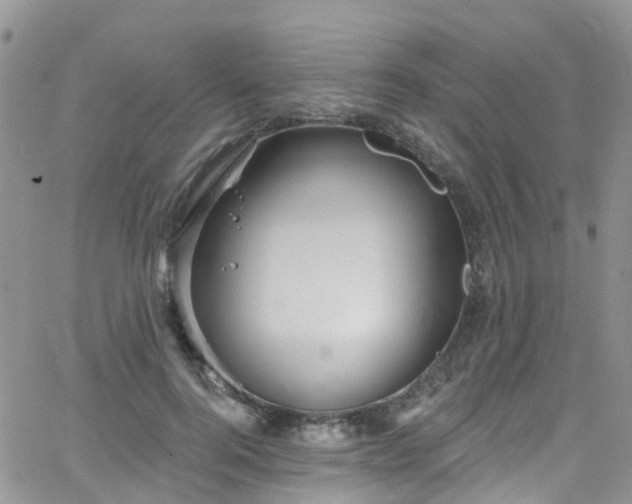 X0000066090744200603171055