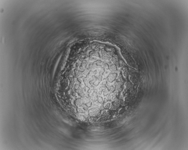 X0000066090745200603171055