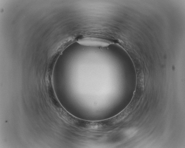 X0000066090746200603171055