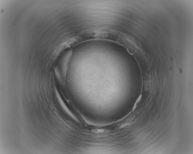 X0000066090748200603171055