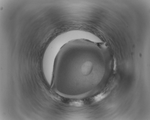 X0000066090750200603171055