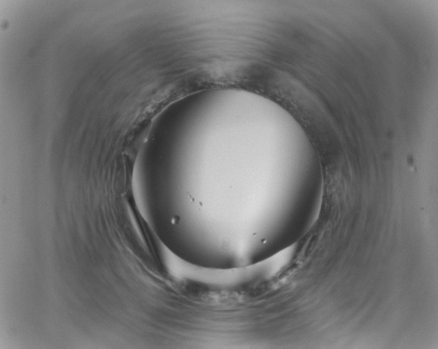 X0000066090752200603171055