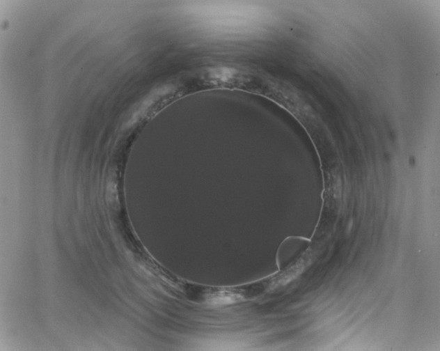 X0000066090754200603171055