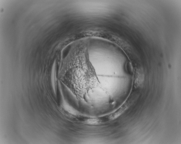 X0000066090758200603171055