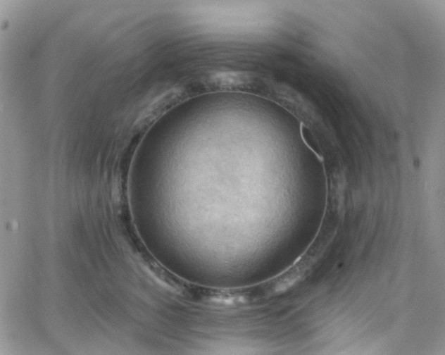 X0000066090760200603171055