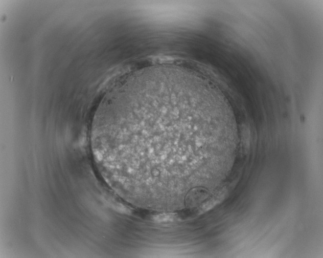 X0000066090761200603171055