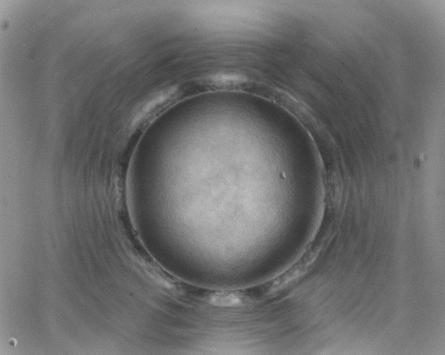 X0000066090762200603171055