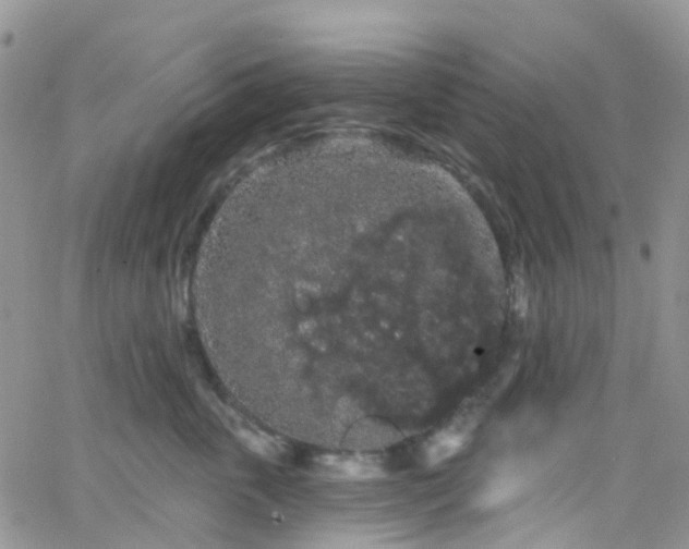 X0000066090763200603171055