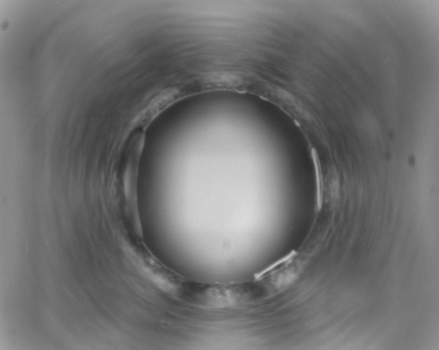 X0000066090764200603171055