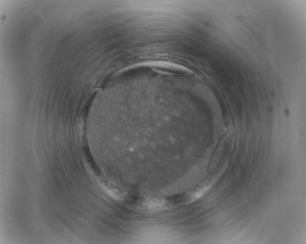 X0000066090767200603171055