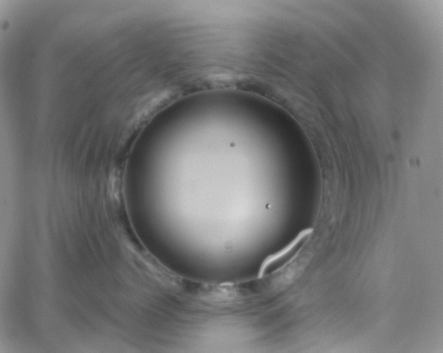 X0000066090768200603171055