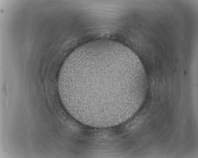 X0000066090769200603171054