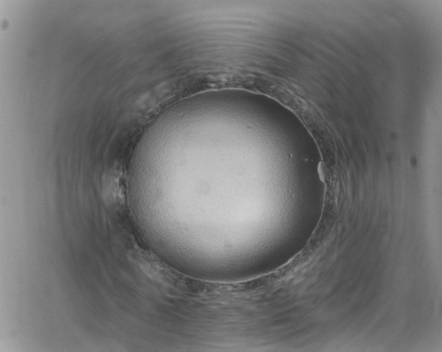 X0000066090770200603171054