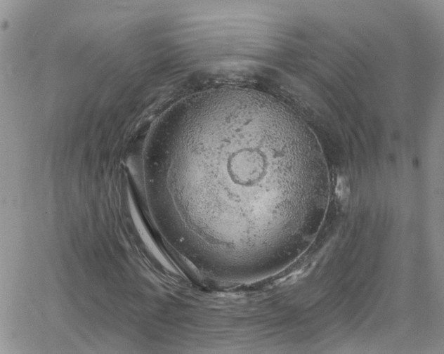 X0000066090771200603171054