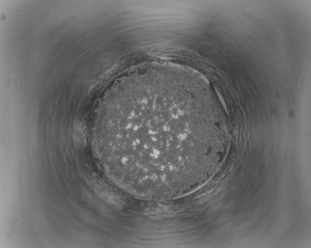 X0000066090772200603171054