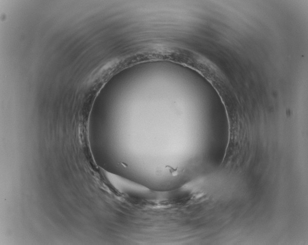 X0000066090773200603171054