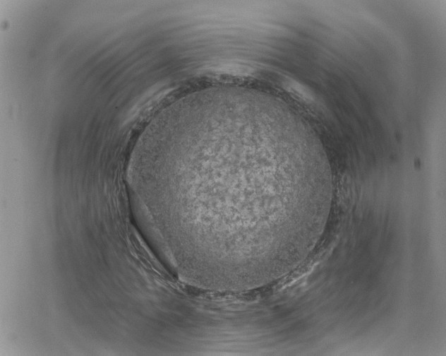 X0000066090774200603171054