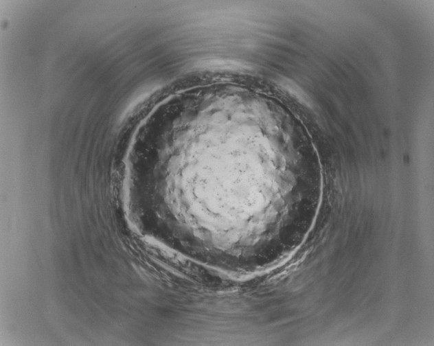 X0000066090775200603171054