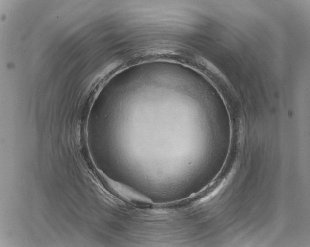 X0000066090777200603171054