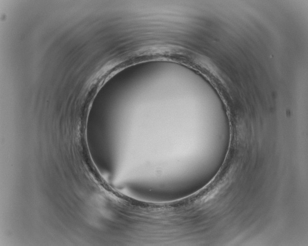 X0000066090778200603171054