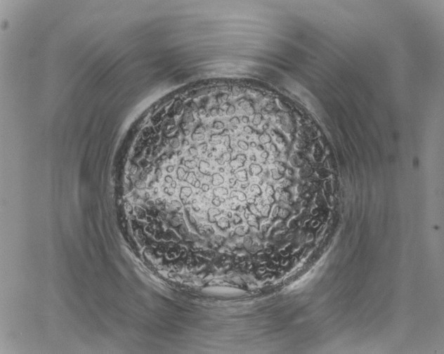 X0000066090779200603171054