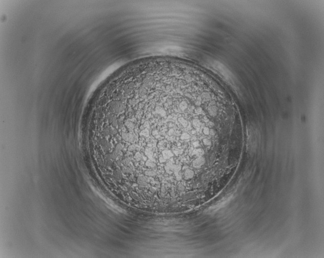 X0000066090780200603171054