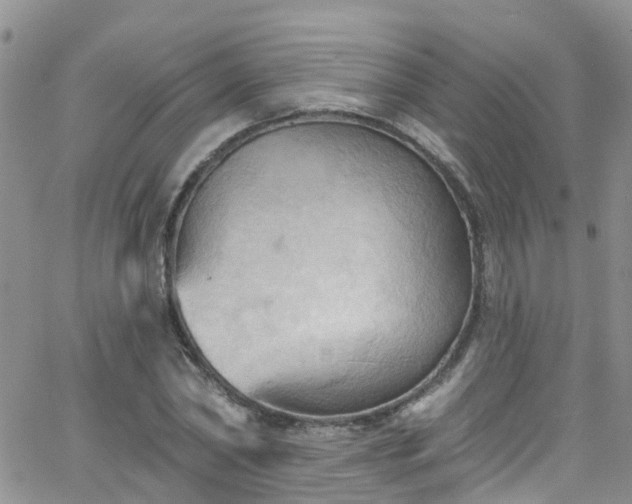 X0000066090782200603171054