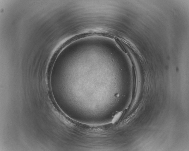 X0000066090784200603171054